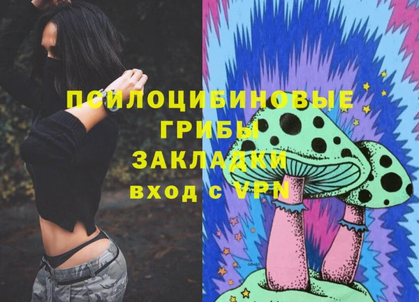 герыч Алексин